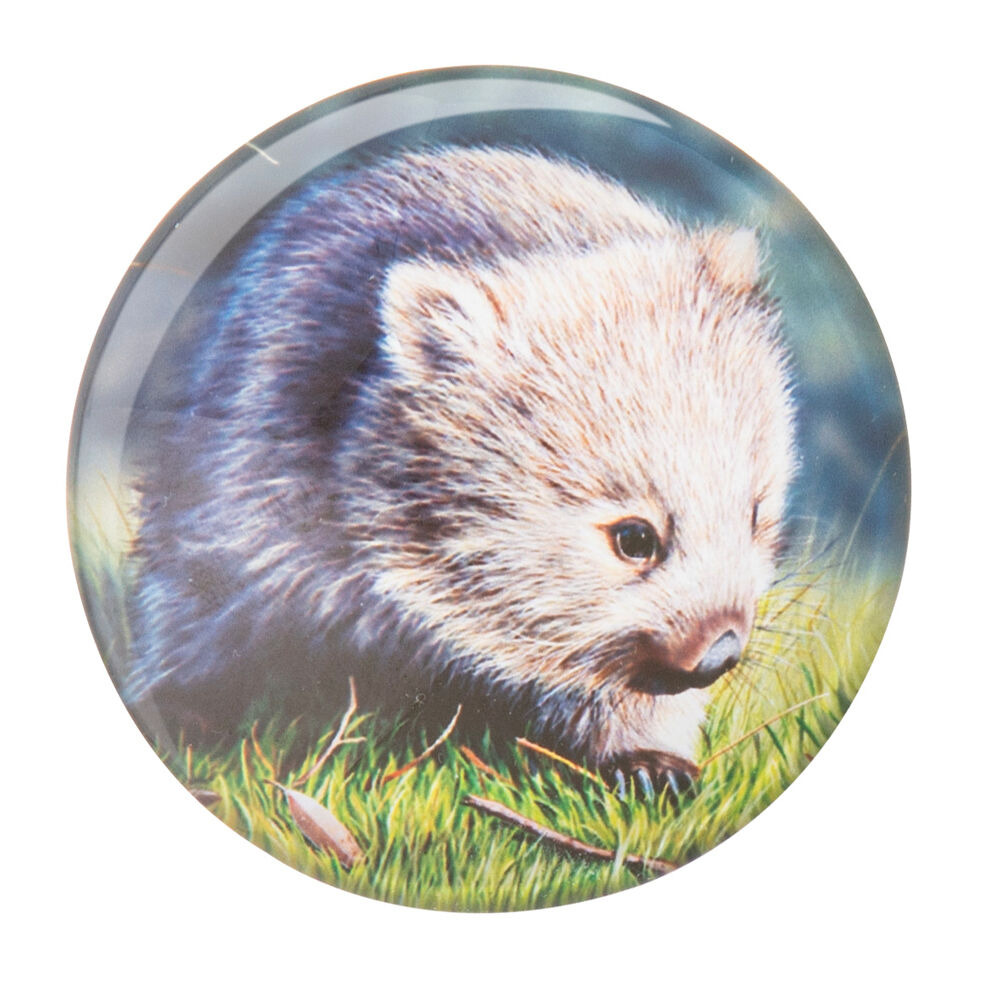 522372-4pc-ashdene-babies-of-the-bush-refrigerator-magnet-set-5cm