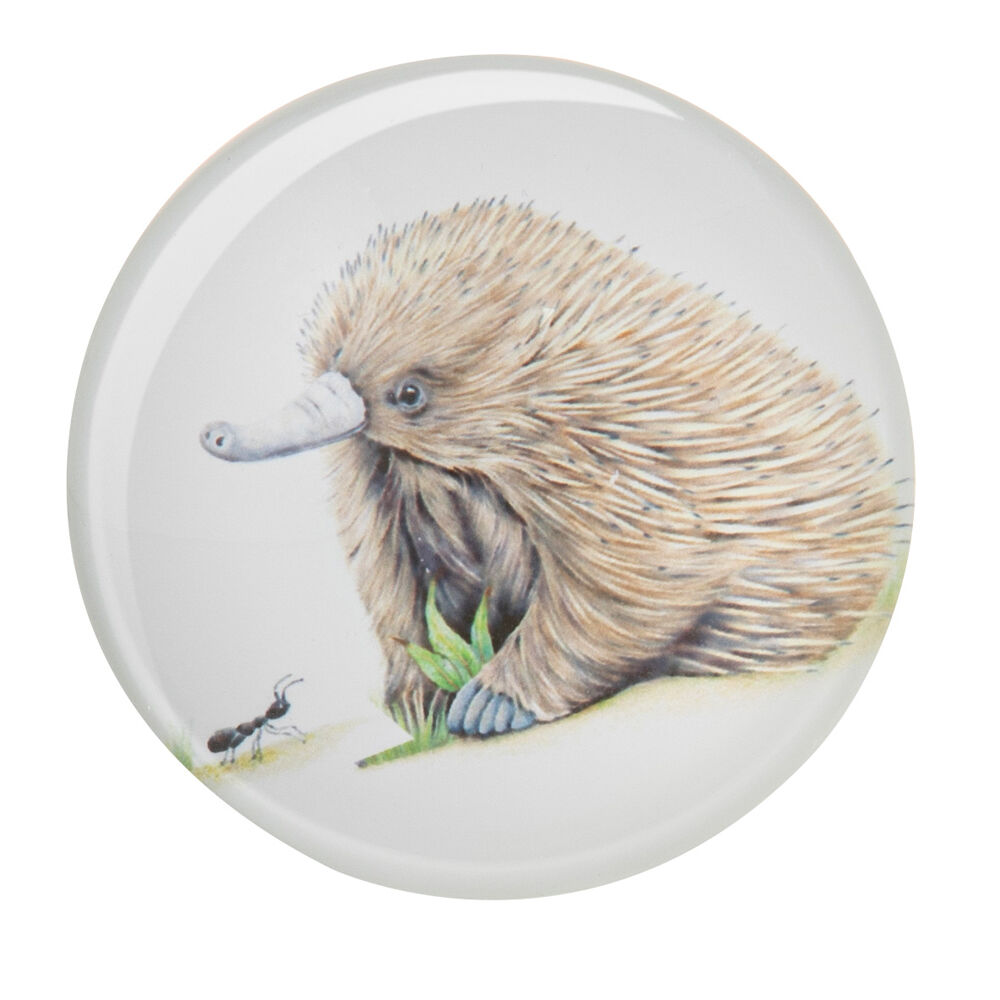 522341-6pc-ashdene-bush-buddies-refrigerator-magnet-set-5cm