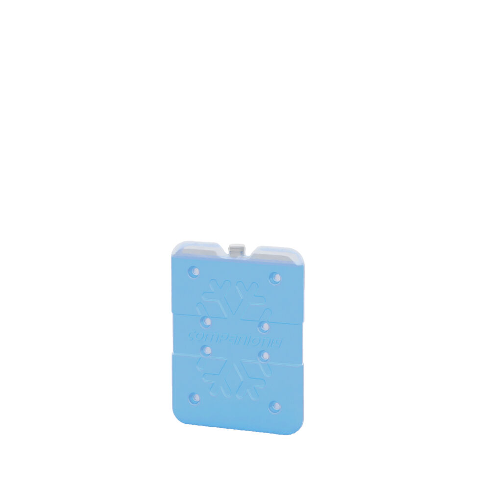 10000100-companion-150ml-ice-travel-cooler-brick-slim-small-16x12cm-blue