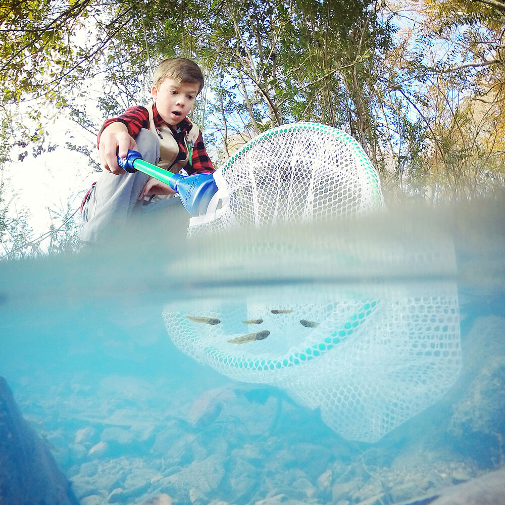 470149-wild-adventure-catch-release-capture-net-20-32x50-8cm-kids-3y