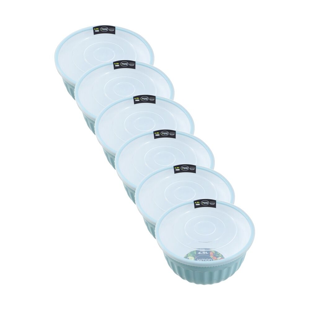 Lemon and Lime Salad Bowl Lidded 4.5L Food Safe Kitchenware Assorted (6 Pack)
