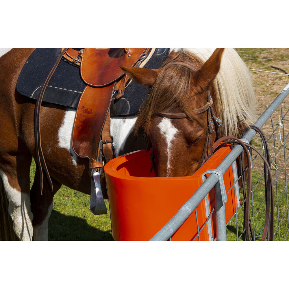 Agboss 45L Pink D Shape Horse Sables and Paddock Fence Feeder — image 3