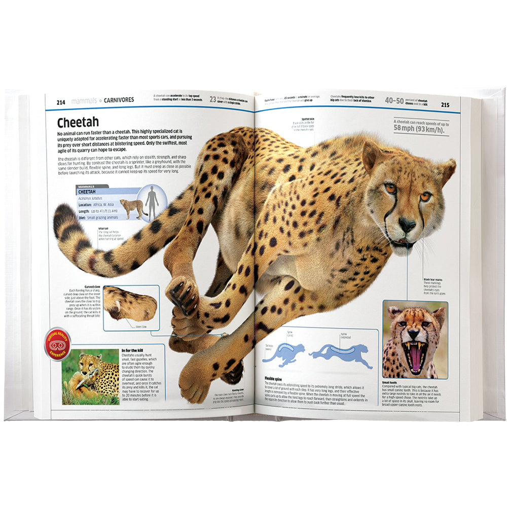 Abacus VR Gift Box Animals Kids/Children Art/Learning w/ Interactive Book 8y+