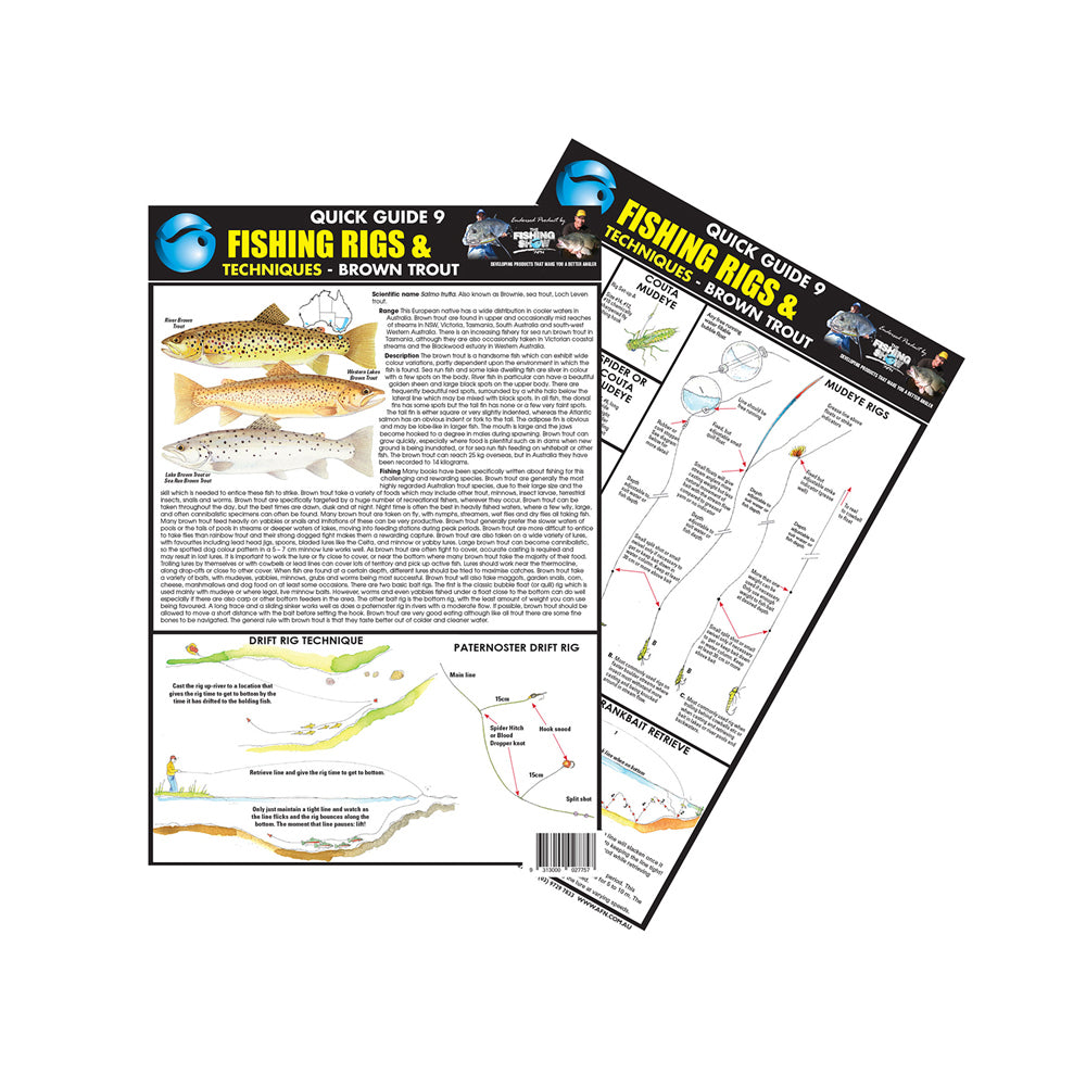 Afn A4 Quick Guide 9 Brown Trout Fishing Tips/Techniques Travel/Handy Manual