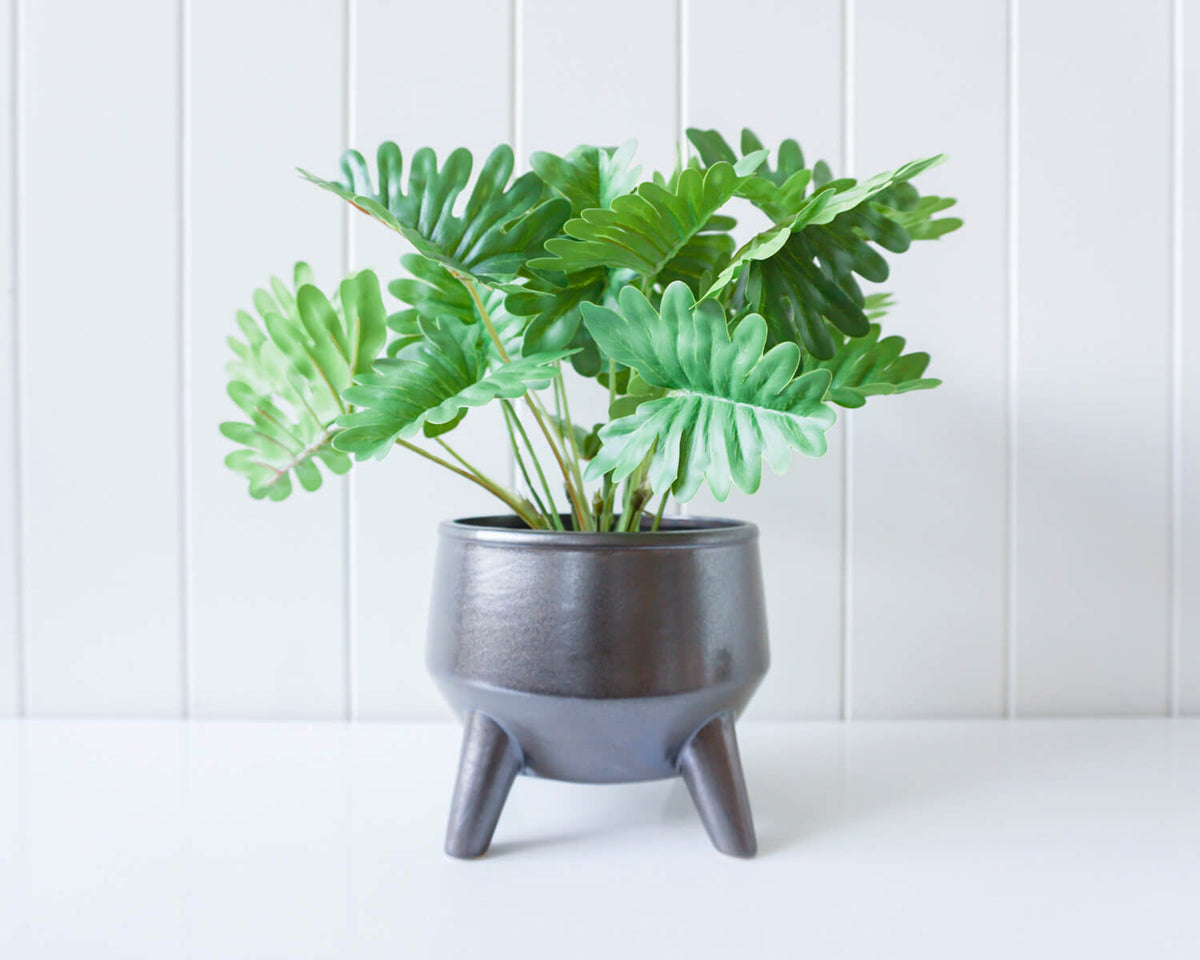 Rayell 15x15cm Flower/Plant Display Pot/Planter Couldron Home/Garden Decor Black — image 3