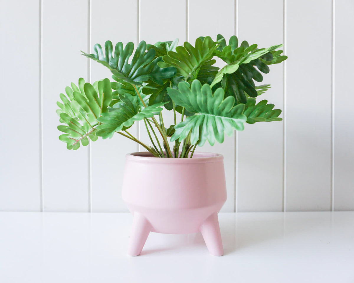 Rayell Couldron 15cm Pot/Planter Plant/Flower Storage Home/Garden Decor Beige — image 3