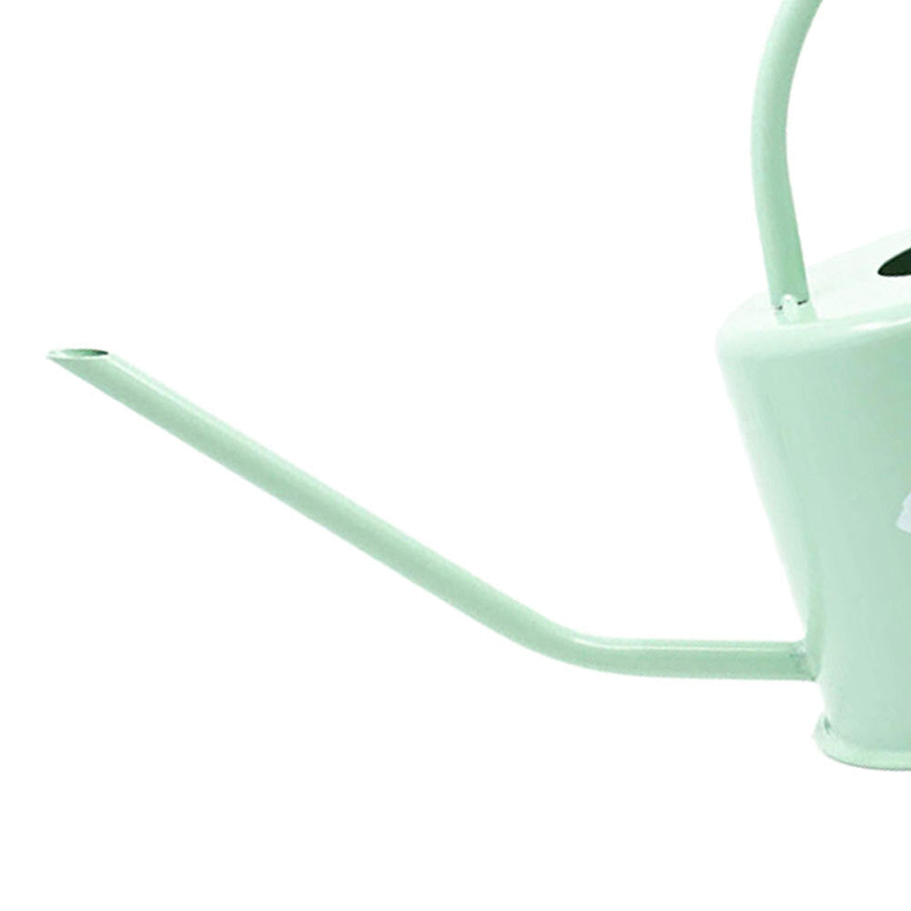 Rayell Ginkgo 36cm Metal Watering Can Gardening Container Home/Garden Pistachio — image 3