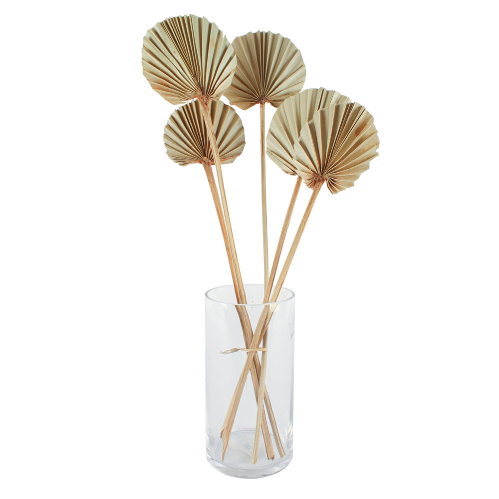 Maine & Crawford 55cm Artificial Palm Fake Faux Plant Home Decor Natural (3 Pieces) — image 2