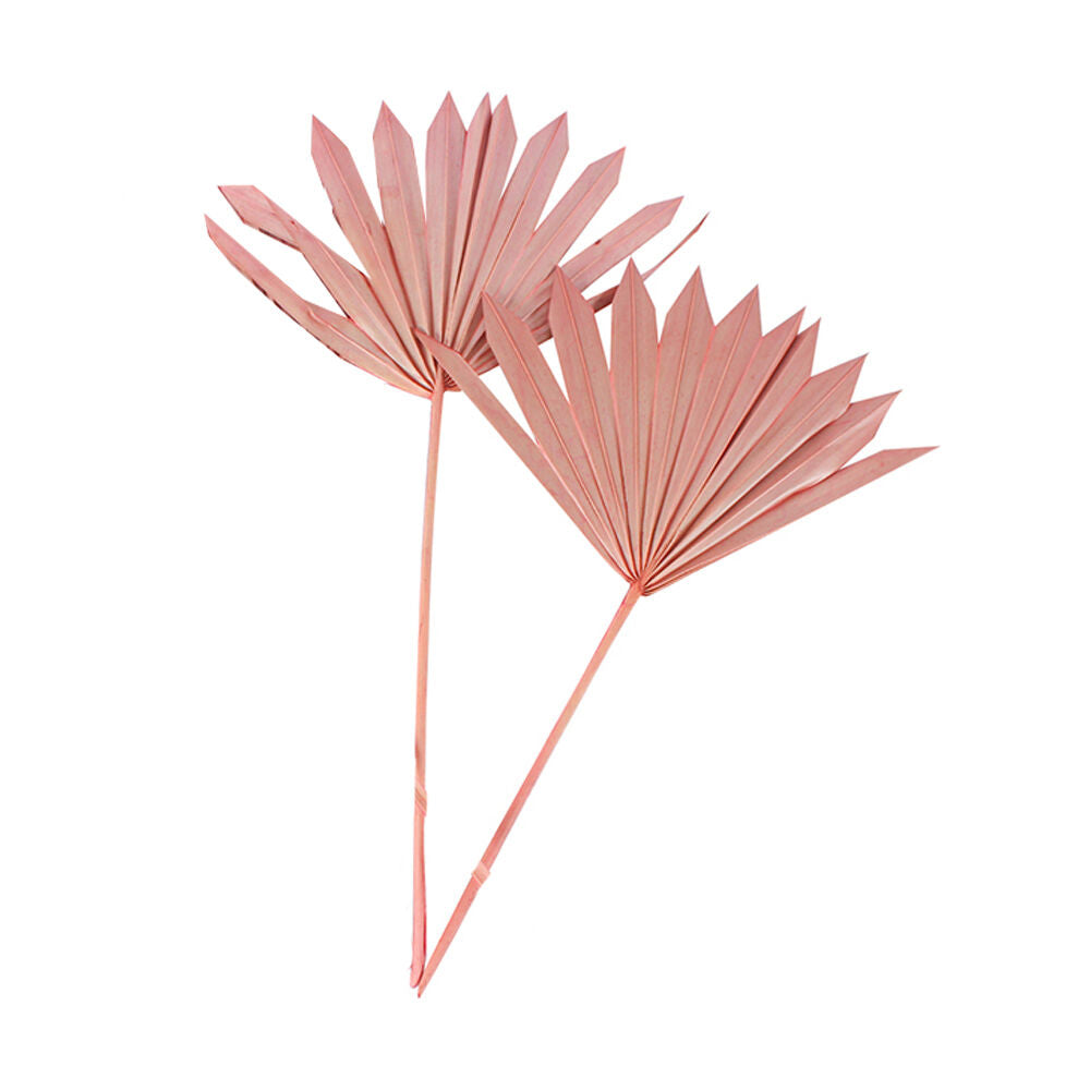 Maine & Crawford 55cm Sun Spear Millennial Artificial Plant Home Decor Pink (2 Pieces)
