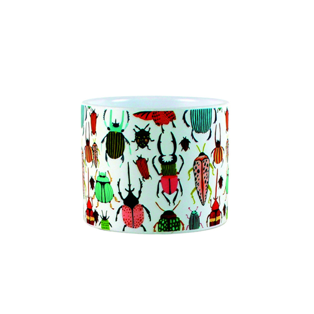 Maine & Crawford Wildlife 11cm Ceramic Plant/Flower Pot (2 Pack)