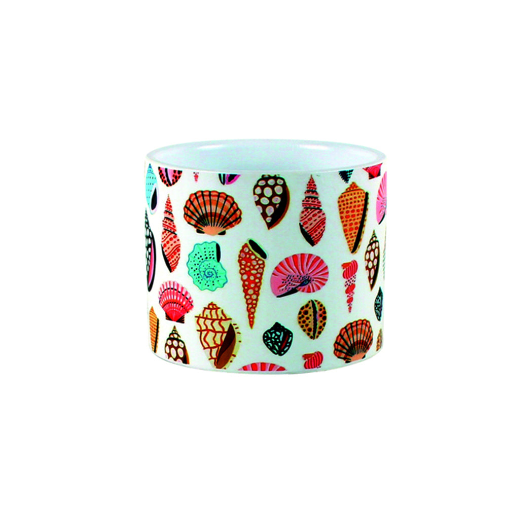 Maine & Crawford Ocean Life 11cm Ceramic Plant Pot (2 Pack) — image 2