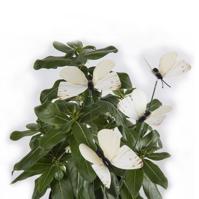 A.Fresco Garden 50x5cm Cabbage Moth Sticks Outdoor Ornament Yard Patio Home Decor (6 Pieces)