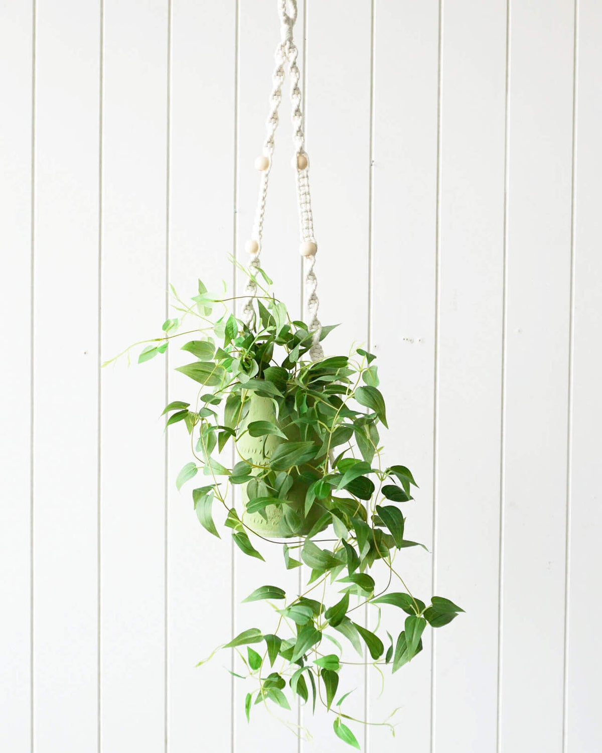 Rayell Large Lacey Hanging Pot/Planter Home Decor/Display Green 10x18.5x10cm — image 2