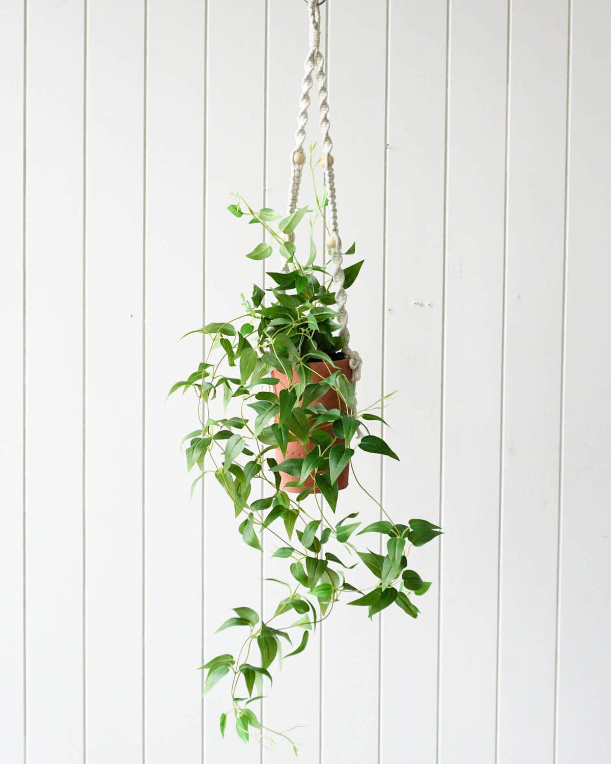 Rayell Large Lacey Hanging Pot/Planter Home Decor/Display Burnt PNK 10x18.5x10cm — image 2