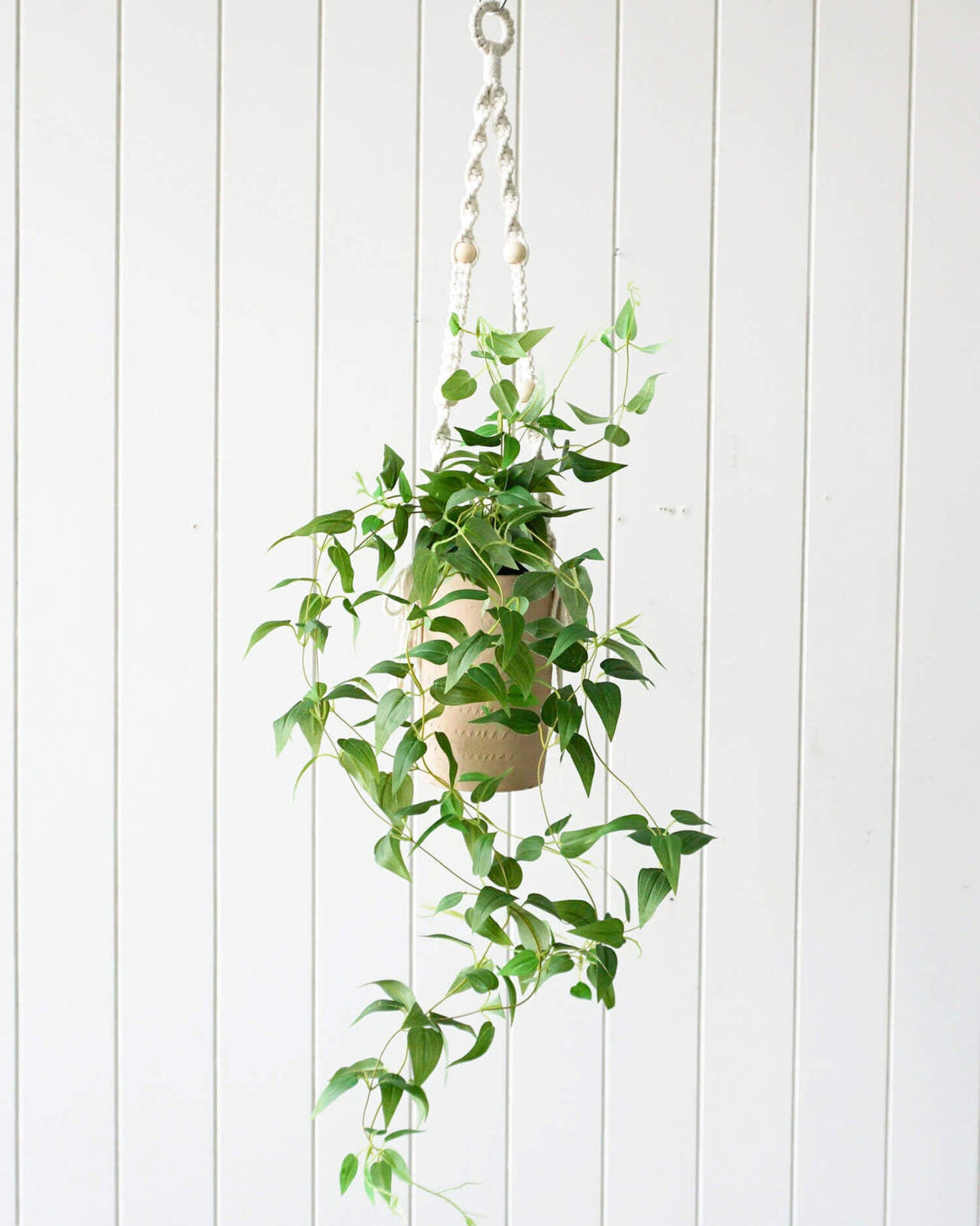 Rayell Large Lacey Hanging Pot/Planter Home Decor/Display Sand 10x18.5x10cm — image 2