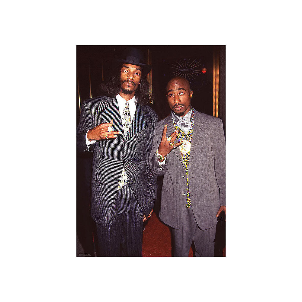 Impact Merch Snoop Dogg & Tupac Suits Euro Poster 80.5x59.5cm Wall Decor