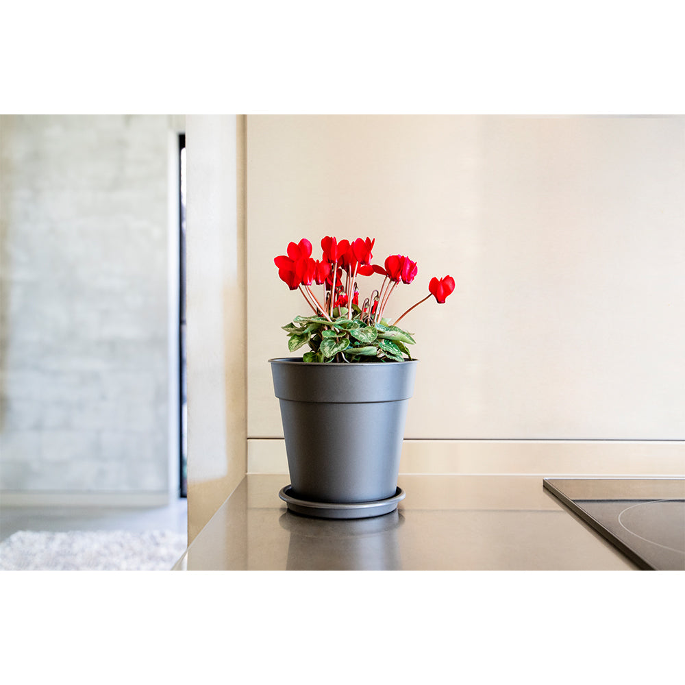 Artevasi Madagascar Plastic Indoor/Outdoor Garden Plant Pot 13x12.4cm Anthracite — image 3