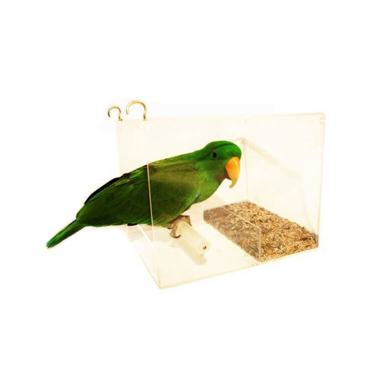 Seedmate Home Garden/Outdoor Acrylic Hanging Bird/Animal Feeder Large Clear