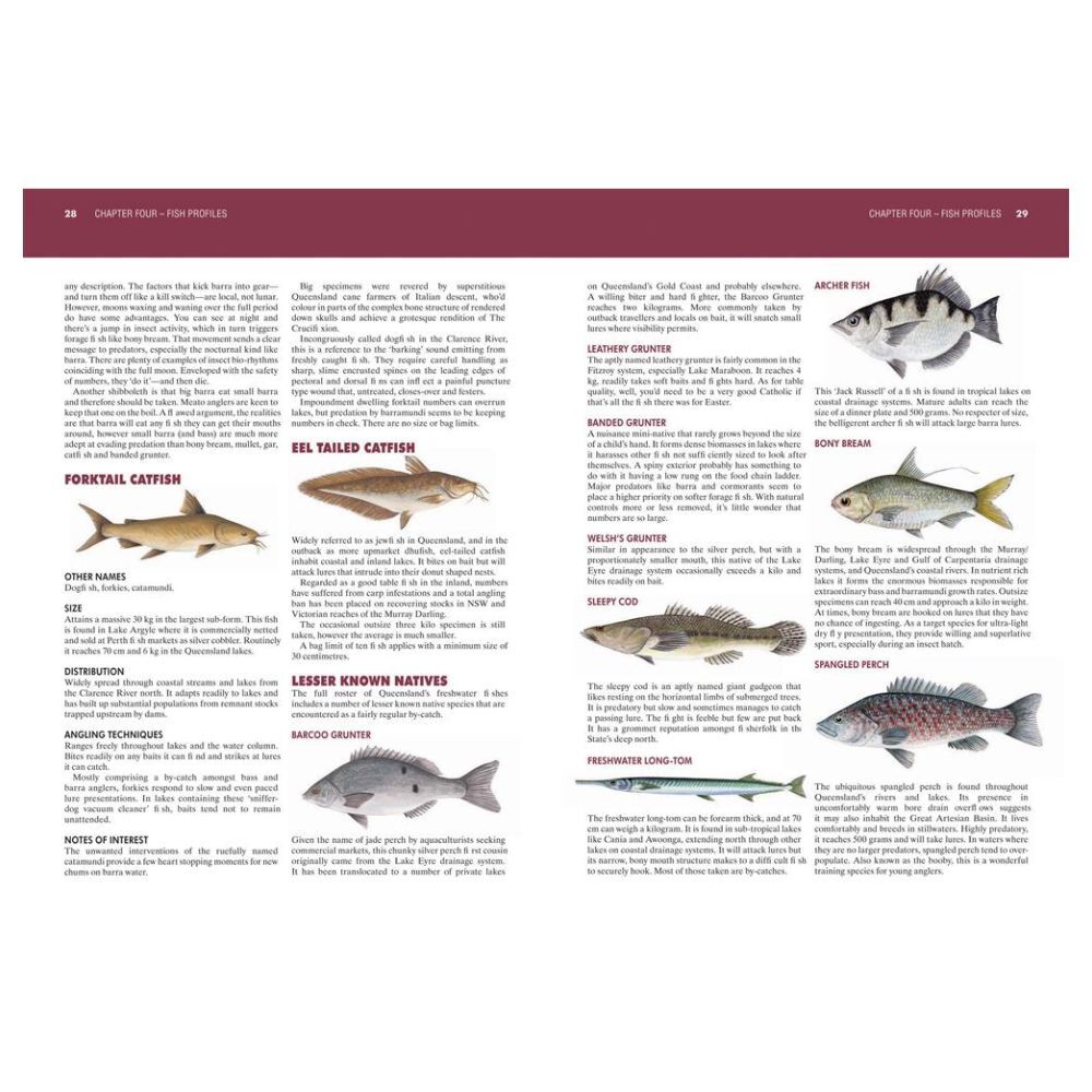 Afn Fishing & Camping Queensland Dams Revised Fishing Guide Book 27x18.5cm — image 2