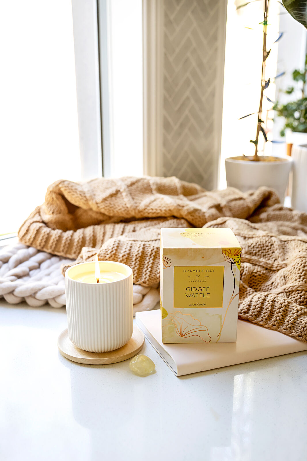 Bramble Bay Native Plum Gidgee Wattle Scented Ceramic Candle 270g (2 Pack) — image 3
