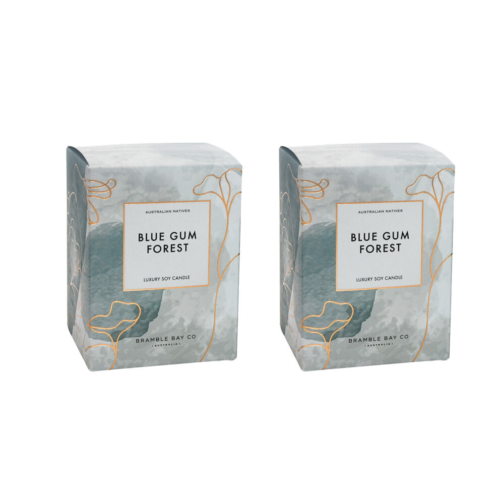 Bramble Bay Native Plum Blue Gum Scented Ceramic Candle 270g (2 Pack)