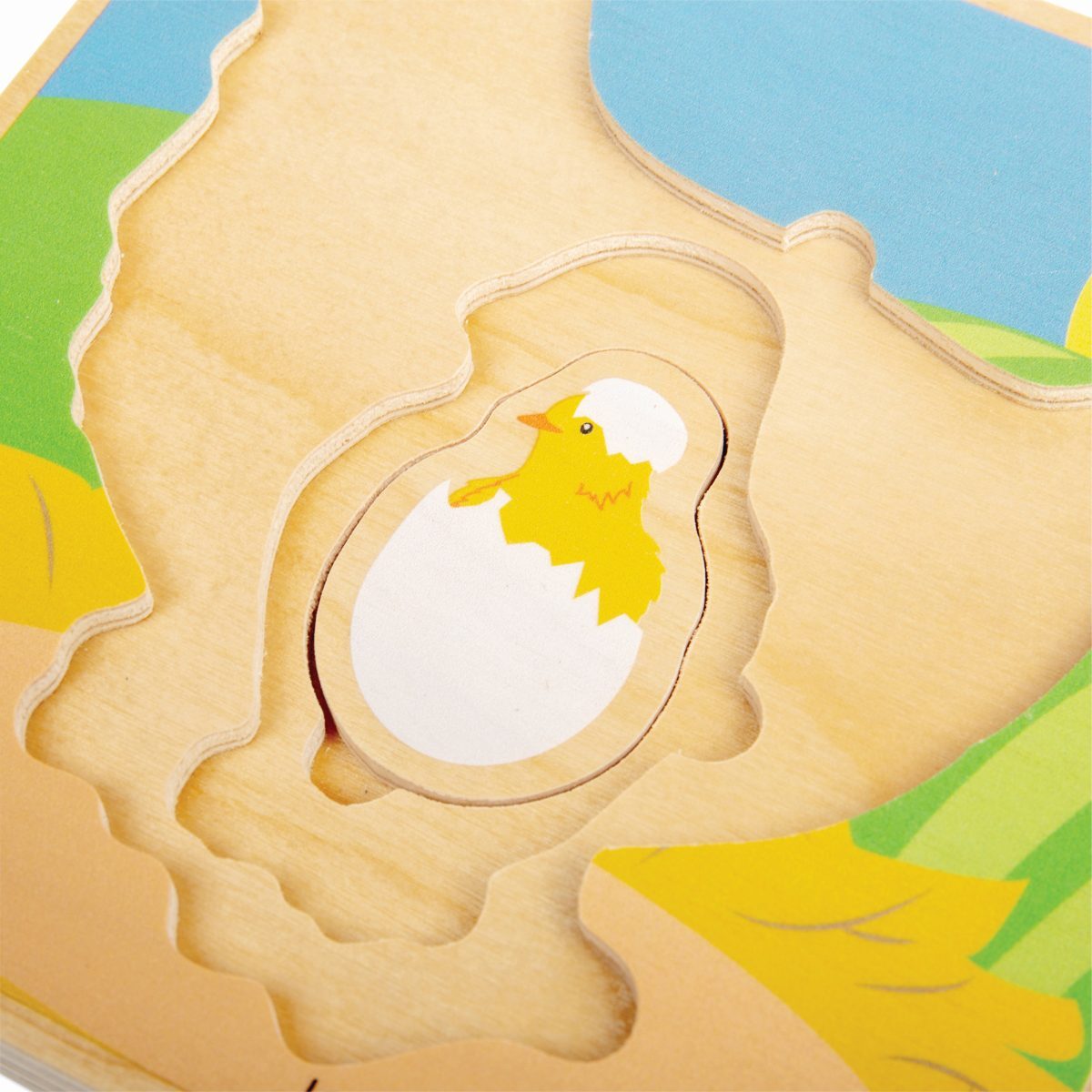 Bigjigs Toys Lifecycle Puzzle Chicken Kids/Children Sensory Wooden Toy 18m+ (7 Pieces) — image 3