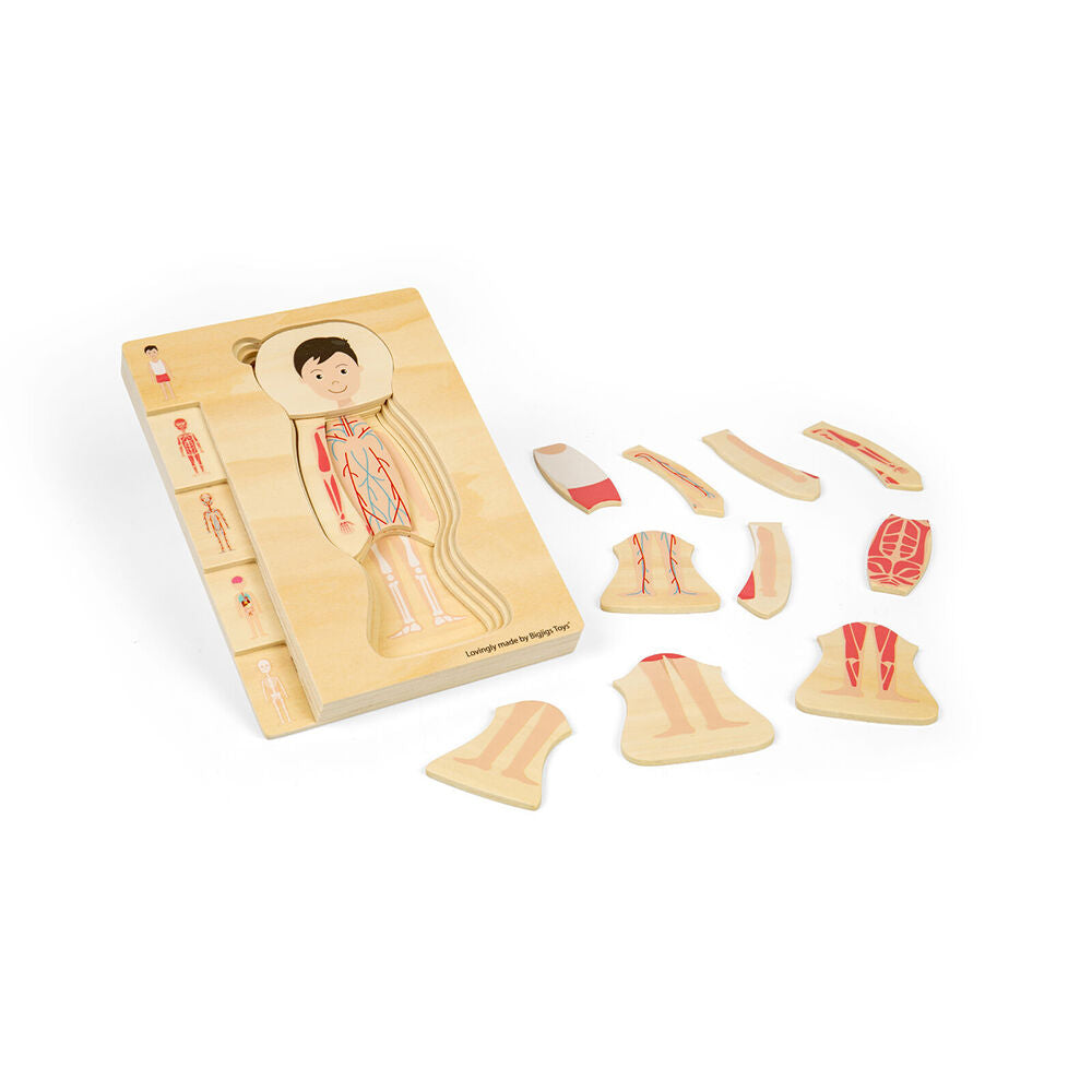Bigjigs Toys 25x18cm Wood Anatomy PuzzleBoy Educational Kids Puzzles Toys 3y+ — image 4