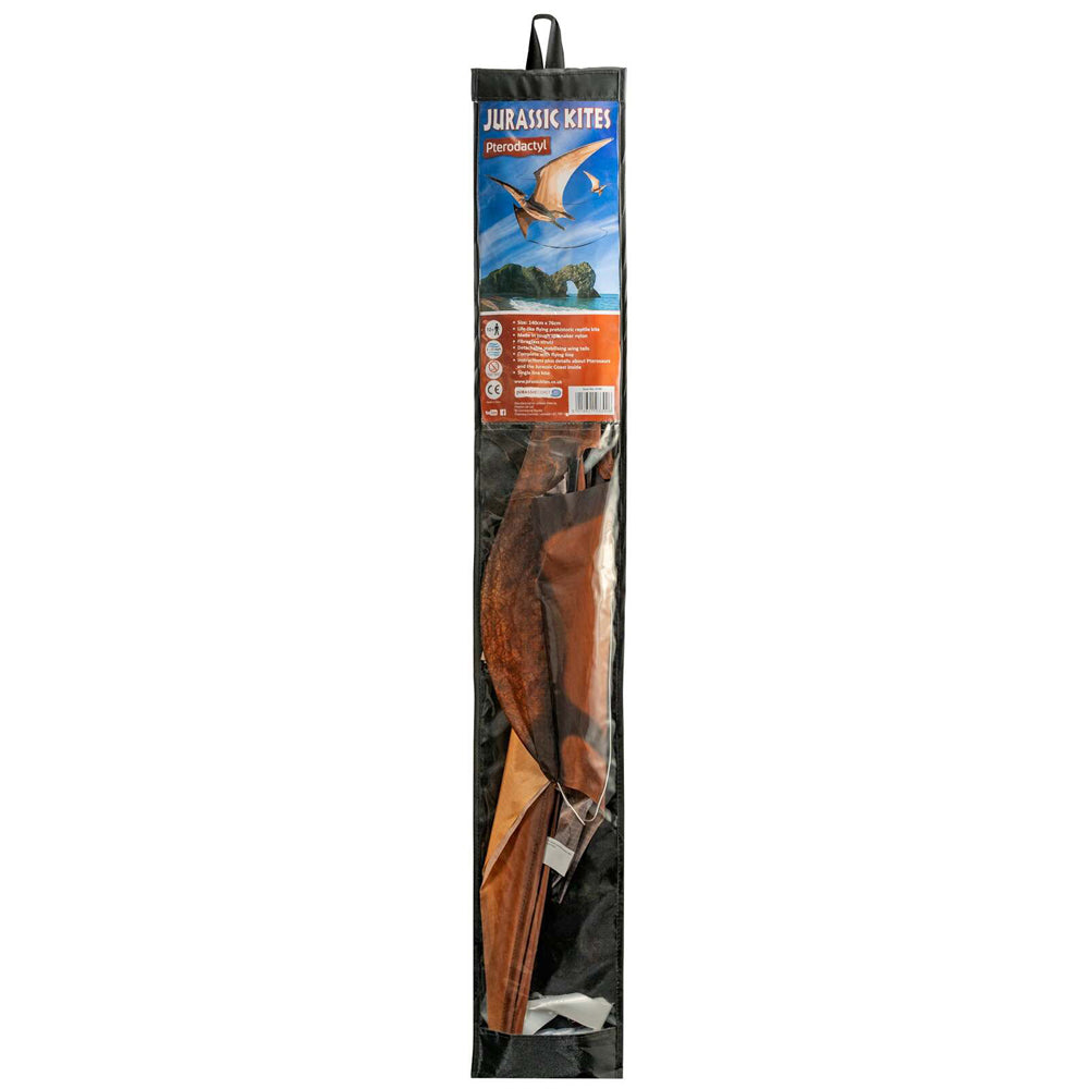 Brookite Pterodactyl Jurassic Kite Kids/Children Outdoor 140cm Flying Toy 3y+