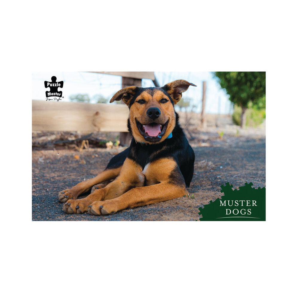 Puzzle Master Puzzlemaster Jigsaw Puzzle Muster Dogs Banjo Australian Kelpie 12y+ (1000 Pieces)