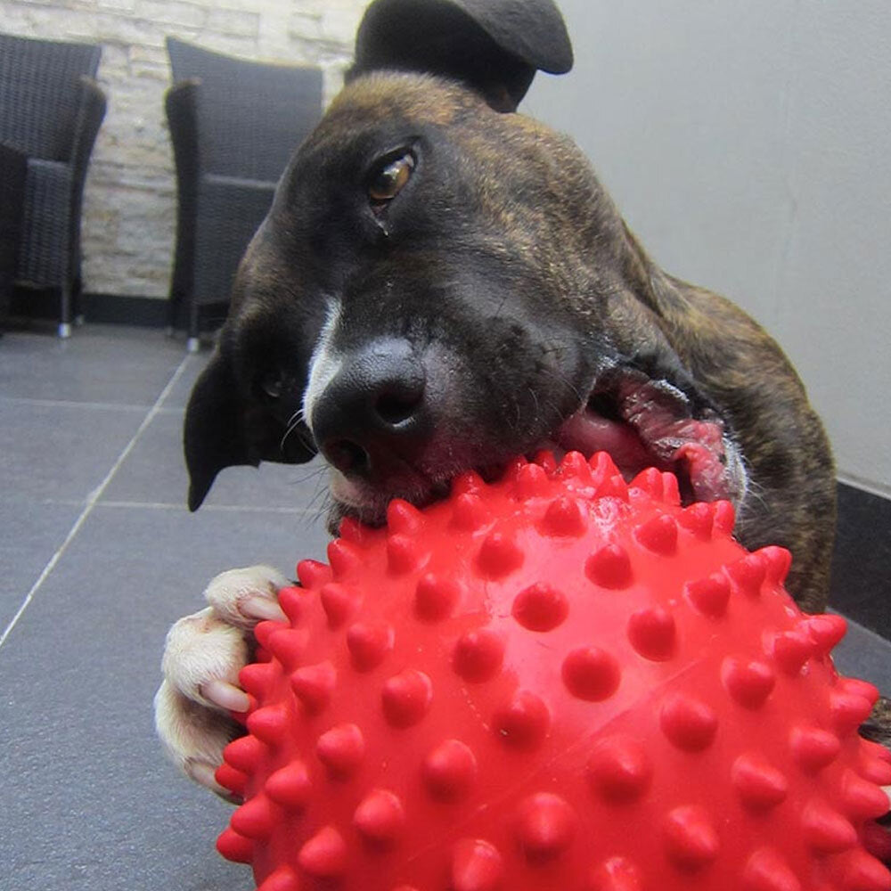 Aussie Dog Products 18cm Mitch Interactive Hard Ball Pet Play Toy Outdoor Red M — image 2
