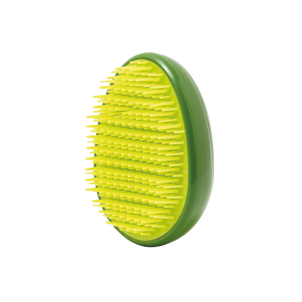Legami Detangling Hairbrush Wet/Dry Detangle Comb Brush Amazing Hair Avocado (2 Pack)