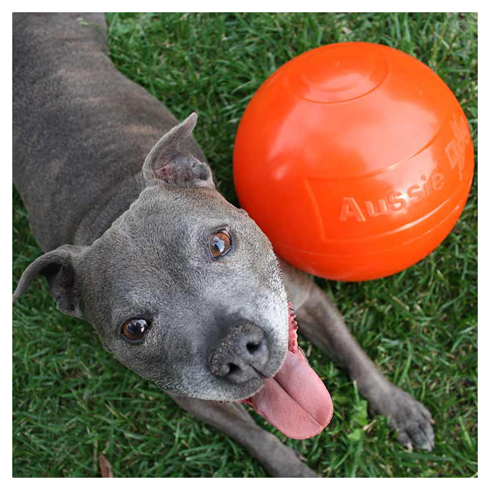 Aussie Dog Products Aussie Dog 24cm Staffie Dog Ball Large Heavy Duty Tough Pets Chew Toy Orange — image 7