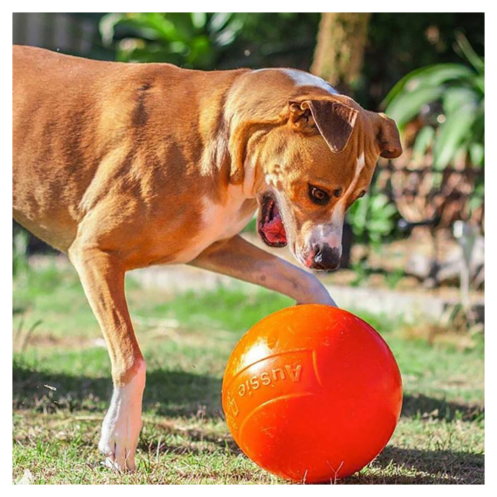 Aussie Dog Products Aussie Dog 24cm Staffie Dog Ball Large Heavy Duty Tough Pets Chew Toy Orange — image 9