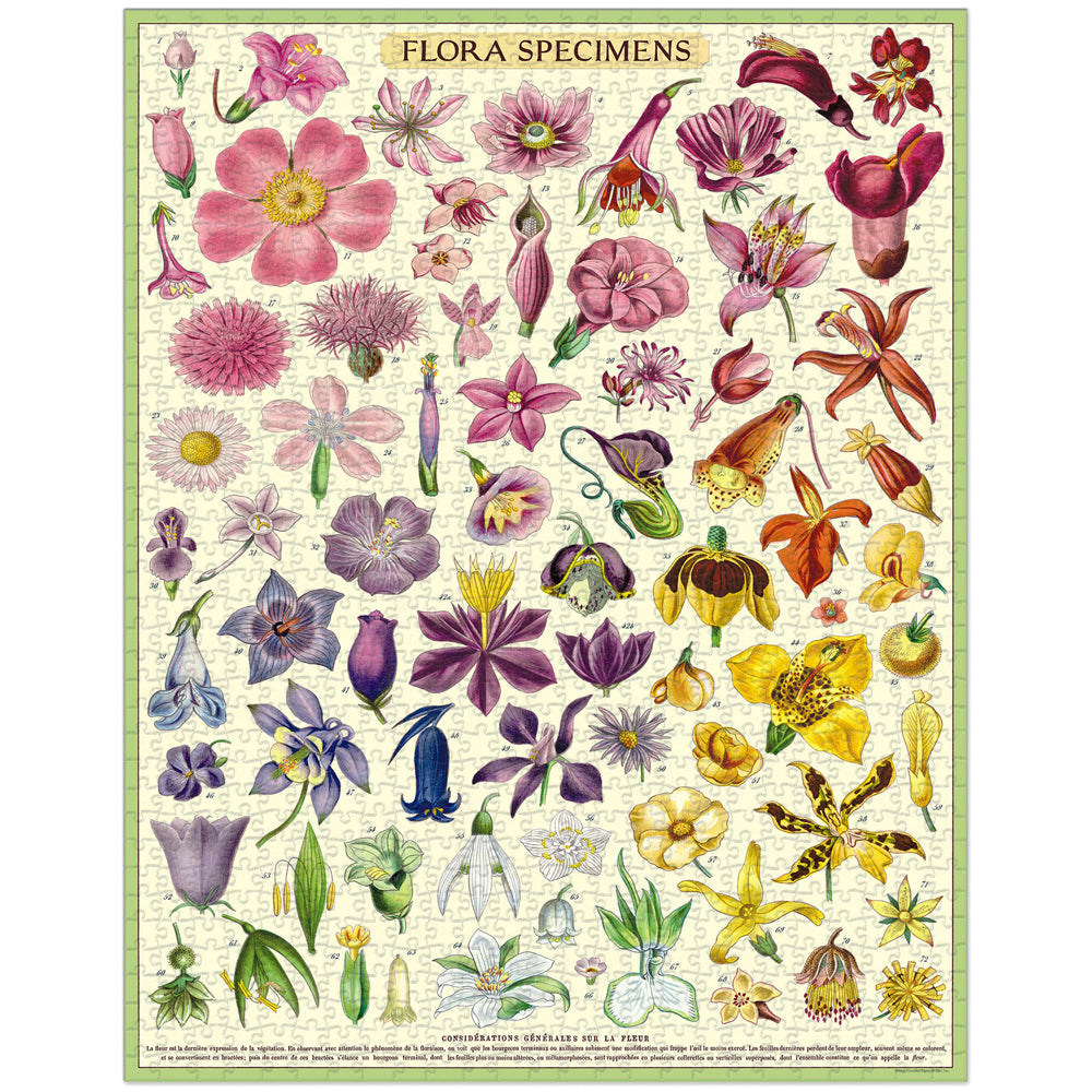 Cavallini Jigsaw Puzzle Flora Specimens 55x70cm Educational Game (1000 Pieces) — image 2