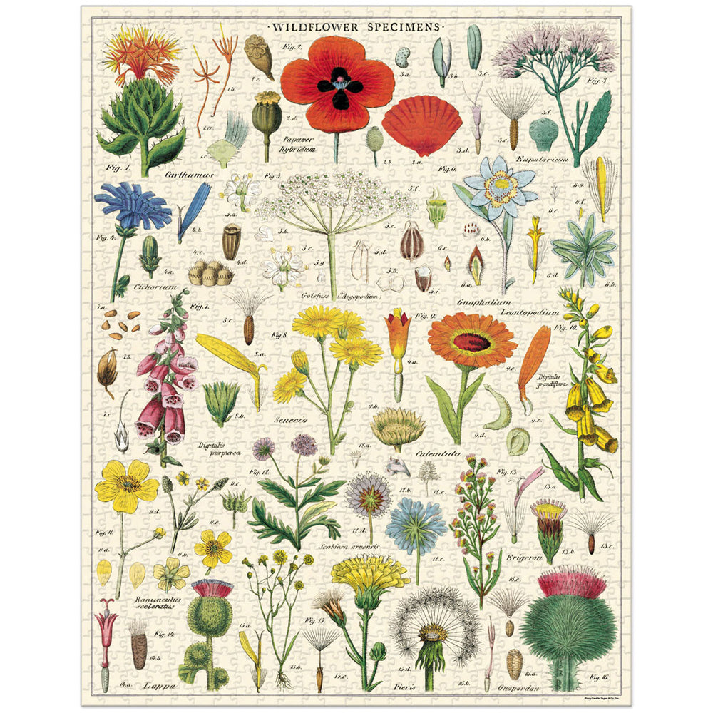 Cavallini Jigsaw Puzzle Wildflowers 55x70cm Educational Game (1000 Pieces)