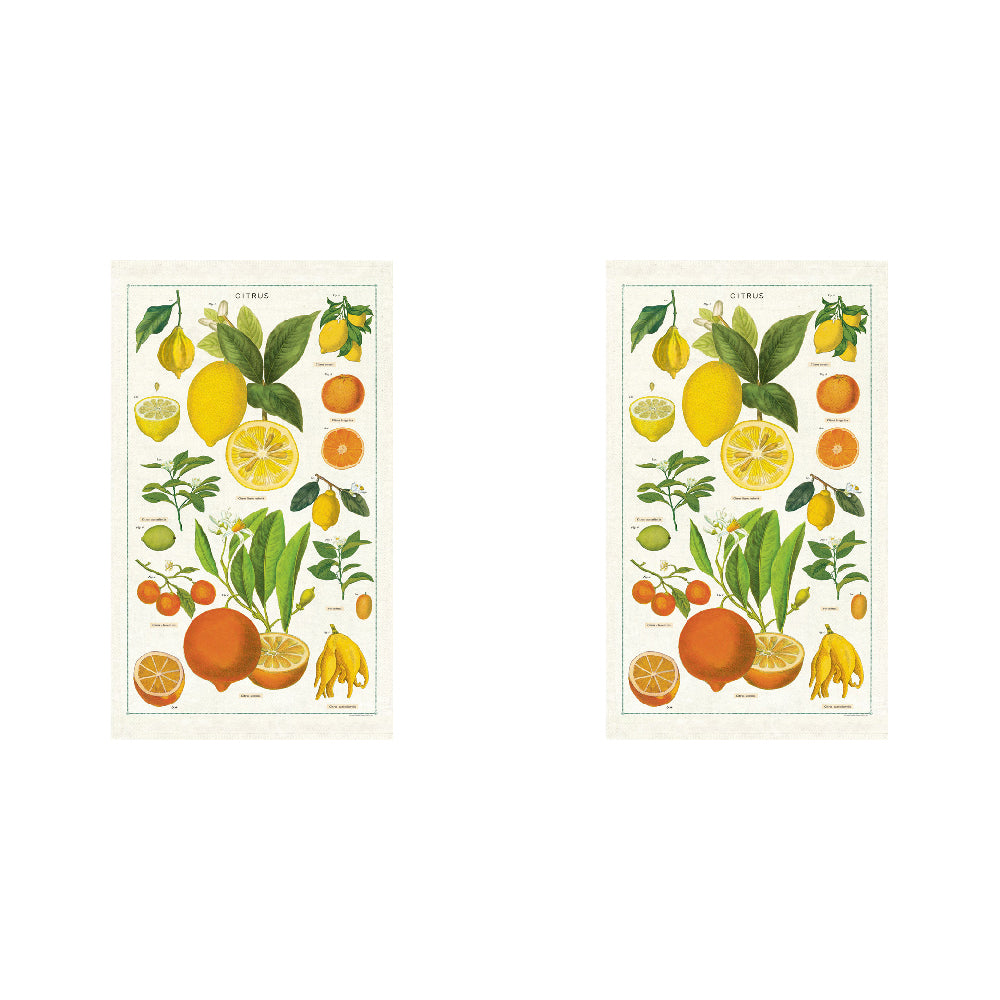 Cavallini Cotton Kitchen Tea Towel Soft Absorbent Dish Cloth 48x80cm Citrus (2 Pack)