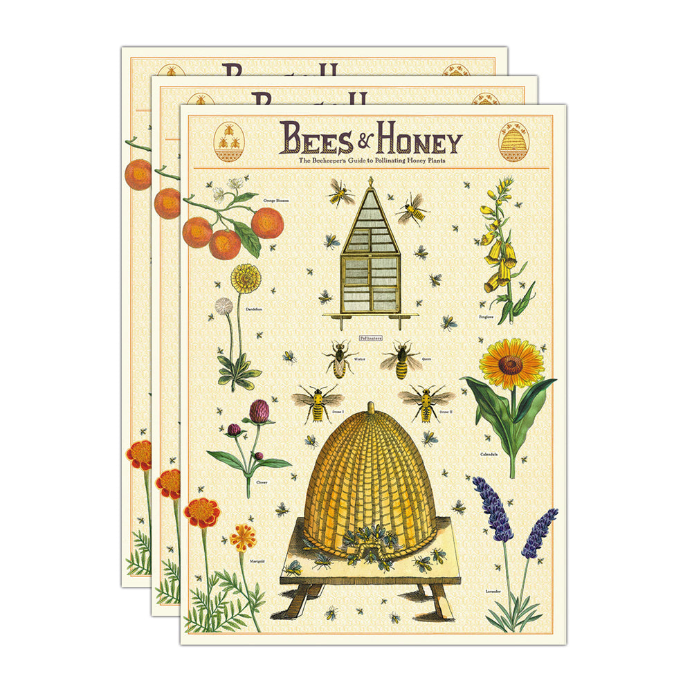 Cavallini Paper Poster Prints/Gift Wrap Wall Art Decor 50x70cm Bees & Honey (3 Pack)