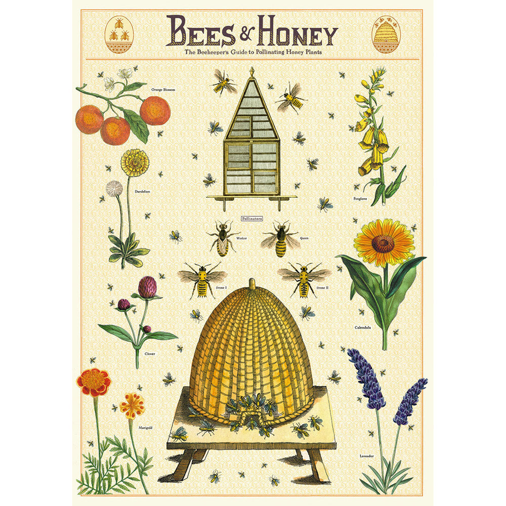 Cavallini Paper Poster Prints/Gift Wrap Wall Art Decor 50x70cm Bees & Honey (3 Pack) — image 2