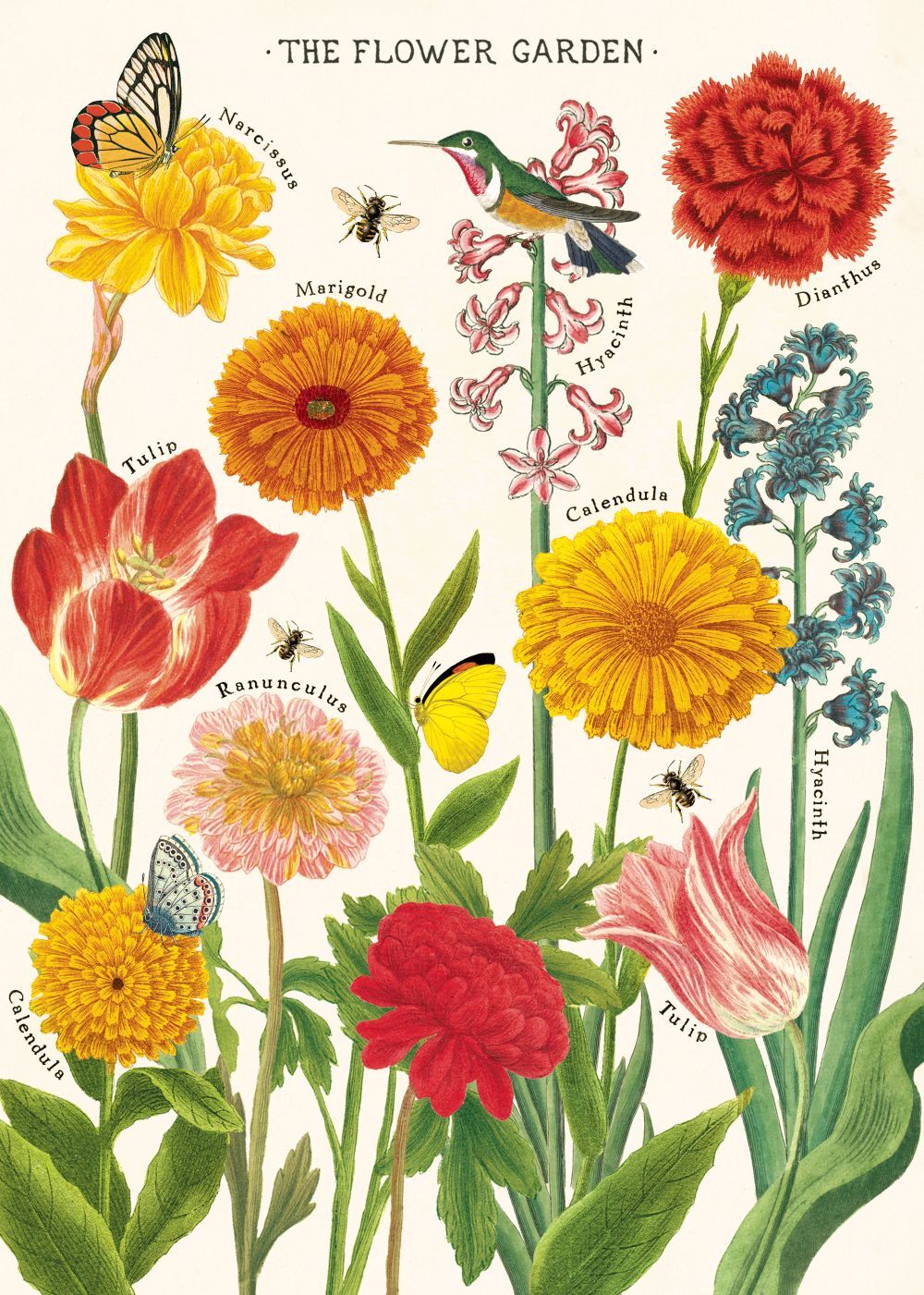 Cavallini Paper Poster Prints/Gift Wrap Wall Art Decor 50x70cm Flower Garden