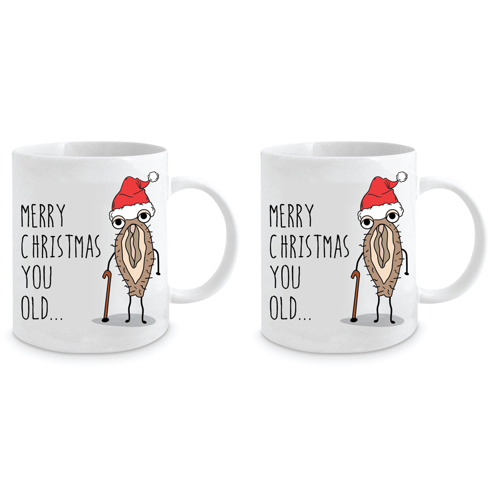 LMD Merry Christmas You Old 350ml Ceramic Coffee/Tea Mug Drinking Cup w/ Handle (2 Pack)