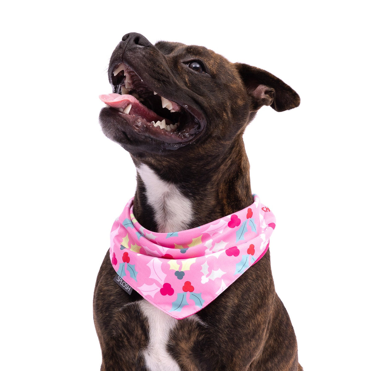 Splosh Christmas Holly Pet/Animal Dog Cotton Bandana Neck Collar 70x25cm Pink — image 3
