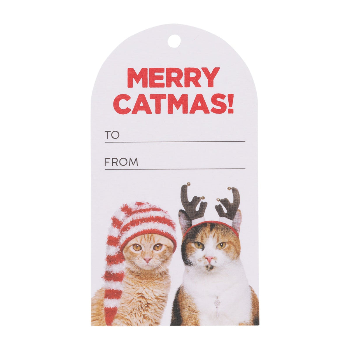 Splosh Christmas Catmas Gift Tags Set 300gsm Card 11.5cm Label White/Red (6 Pieces) — image 2