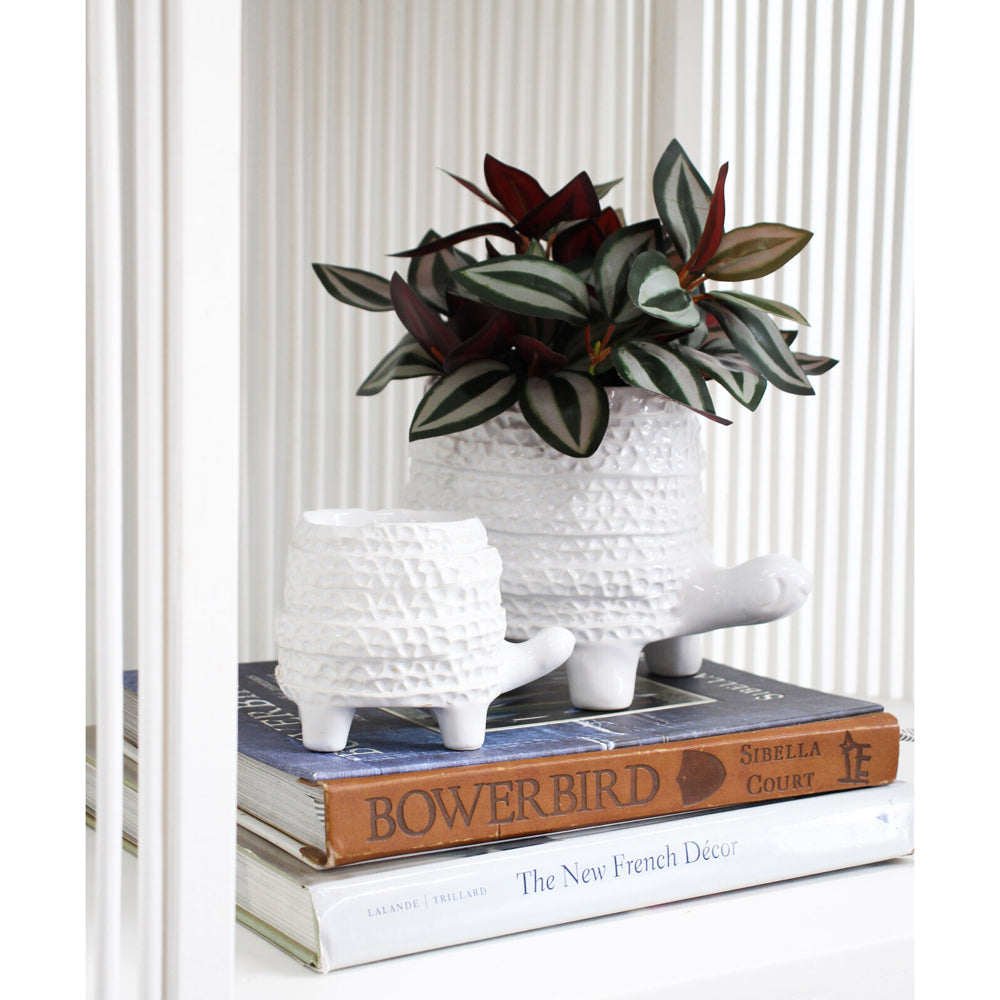 LVD Ceramic 19.5cm Turtle Planter Flower Pot Tabletop Home Garden Decor Barnacle — image 2