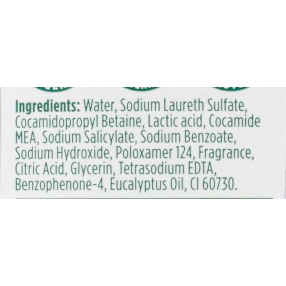 Palmolive Foaming Hand Wash Antibacterial Mint Eucalyptus Limited Edition (24 Pack) — image 4