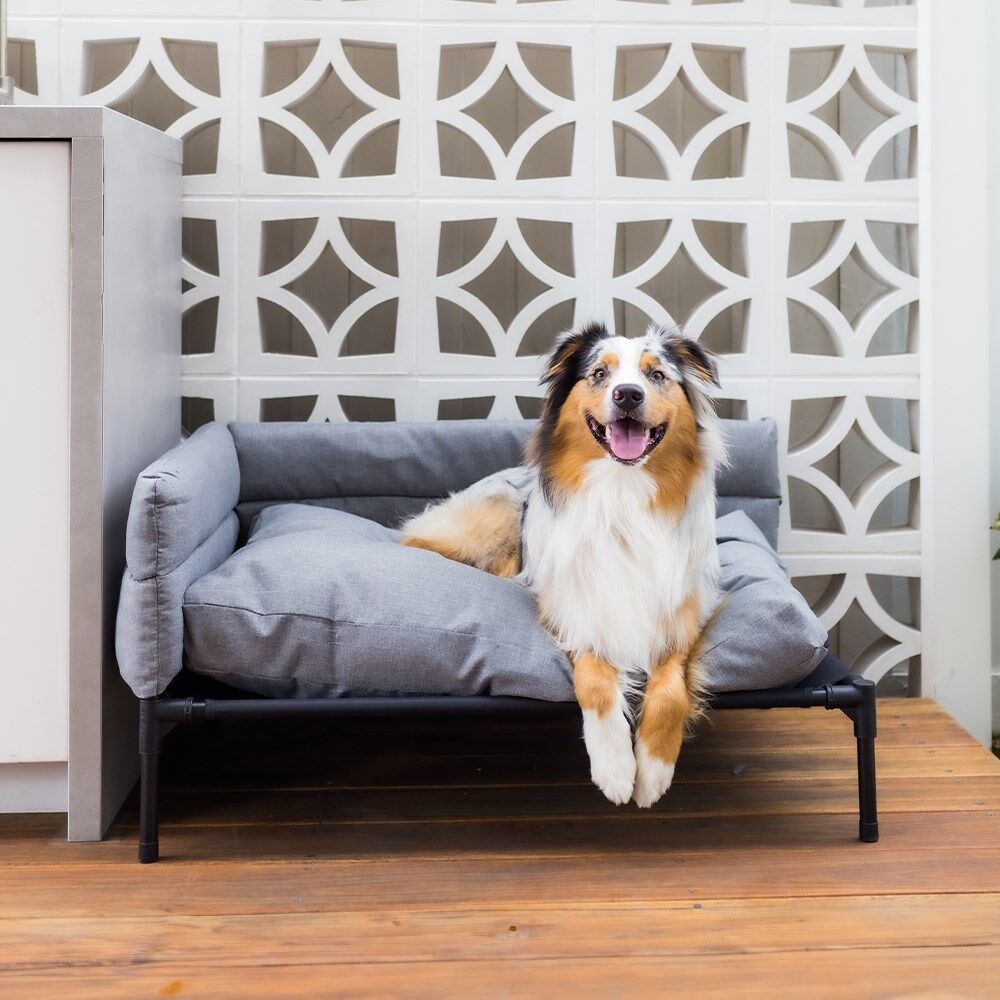 Paws and Claws Elevated Sofa Pet Dog Bed 64.5x49x38.5cm Linen Grey Medium (2 Pack) — image 10