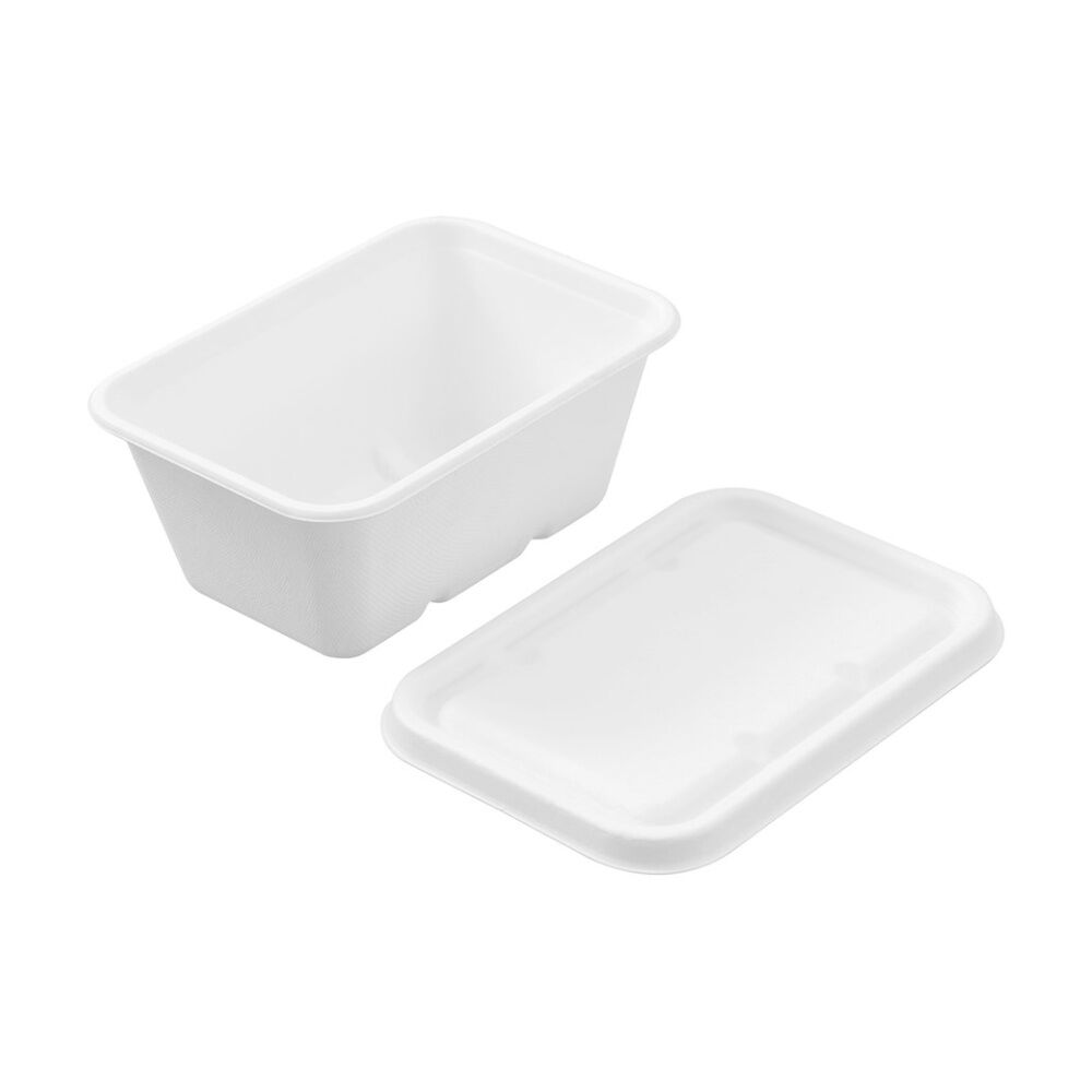 Lemon and Lime 6pc Lemon And Lime Eco Sugarcane Food Container Set 1L Capacity Assorted (24 Pack) — image 5