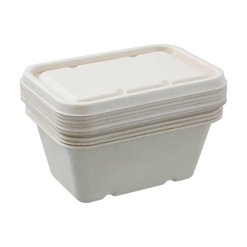 Lemon and Lime 6pc Lemon And Lime Eco Sugarcane Food Container Set 1L Capacity Assorted (24 Pack) — image 6