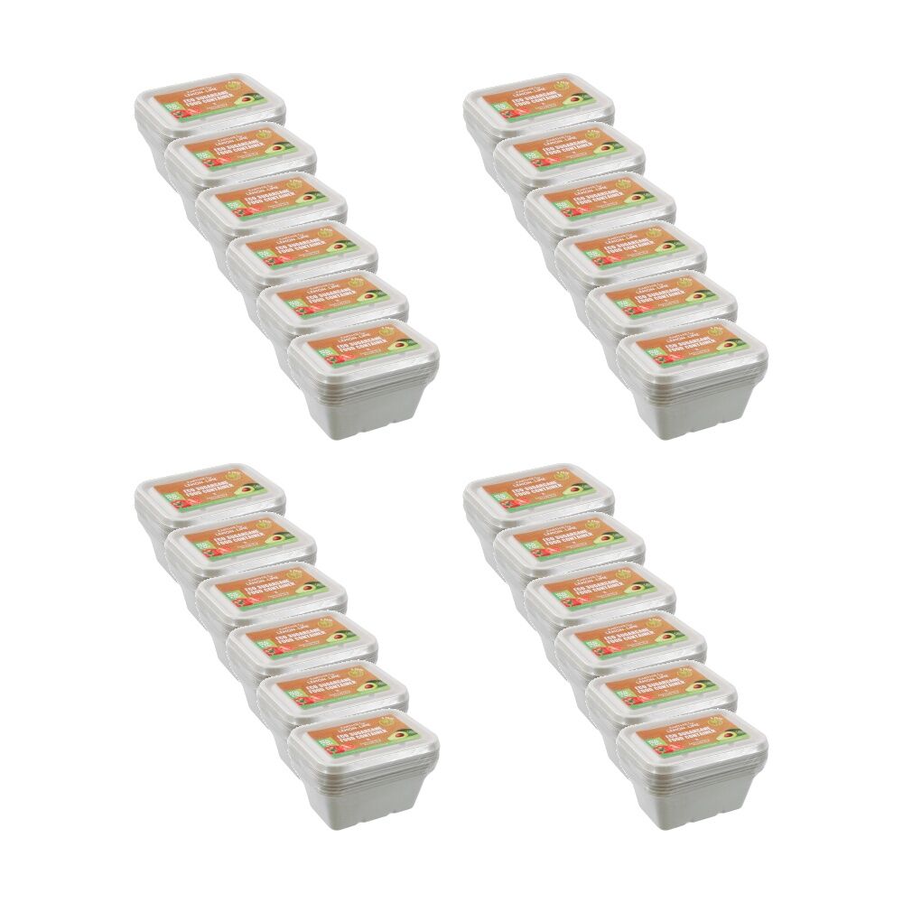 Lemon and Lime 6pc Lemon And Lime Eco Sugarcane Food Container Set 1L Capacity Assorted (24 Pack)