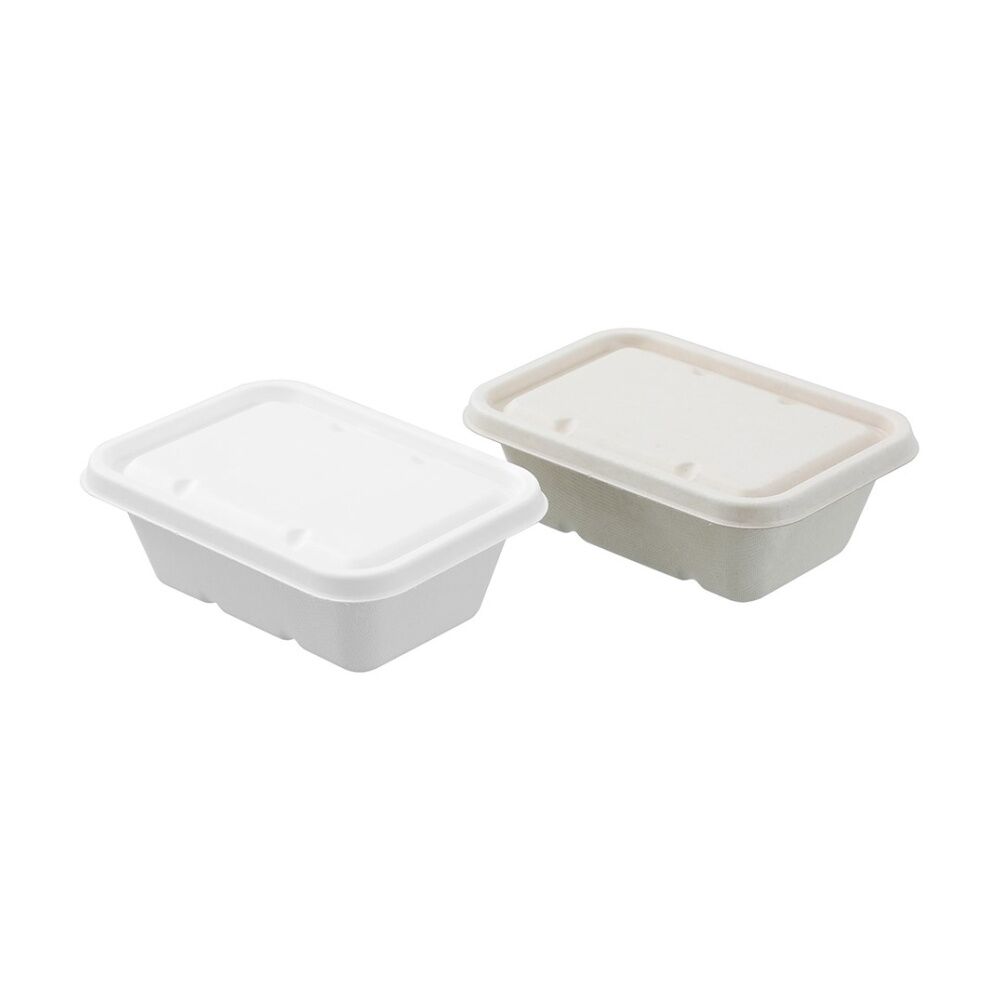 Lemon and Lime 6x 20pc Eco Sugarcane Food Container Set 750ml — image 3