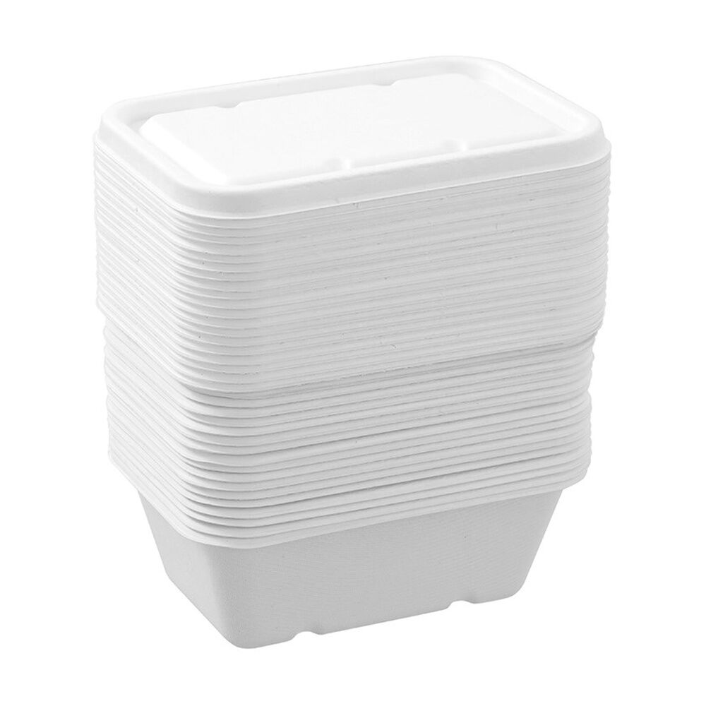 Lemon and Lime 6x 20pc Eco Sugarcane Food Container Set 750ml — image 6